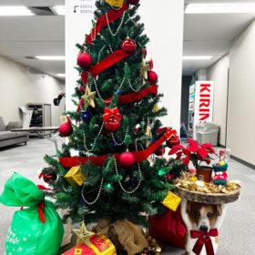 エムジェイの社内のクリスマスツリー