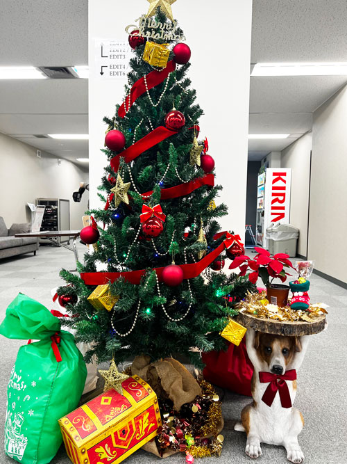 エムジェイの社内のクリスマスツリー