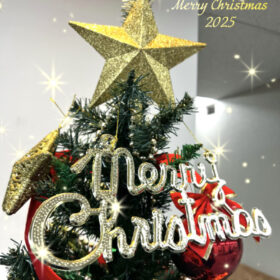 エムジェイのクリスマスツリー