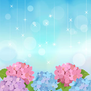 雨と紫陽花のイラスト